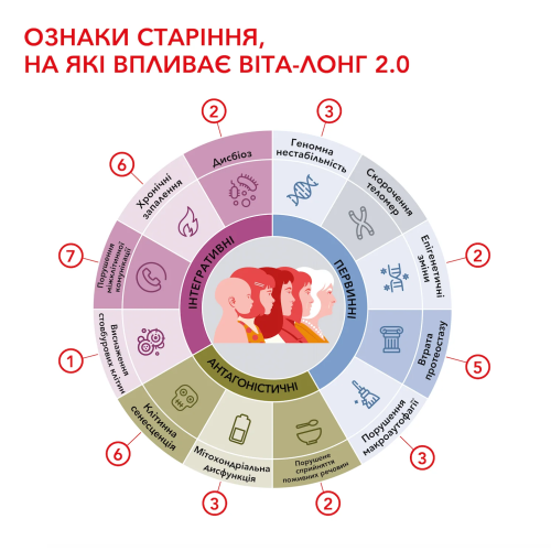 Meder Vita-Long Active Care 30 мл Активний догляд для довголіття шкіри