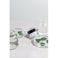 Phyto-C Eye return cream 15g Крем для ухода вокруг глаз