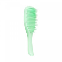 Расческа Tangle Teezer The Wet Detangler Mint Karma