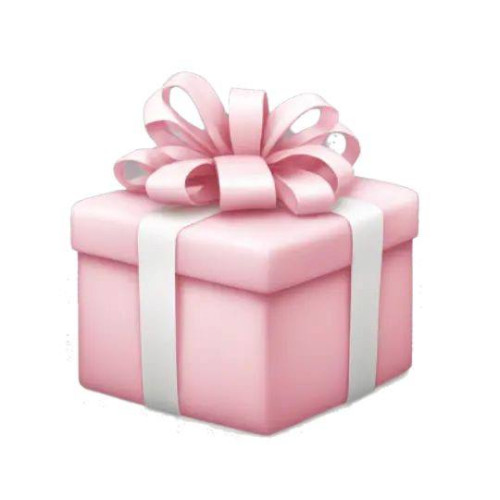 Різдвяний подарунок від France Up 3