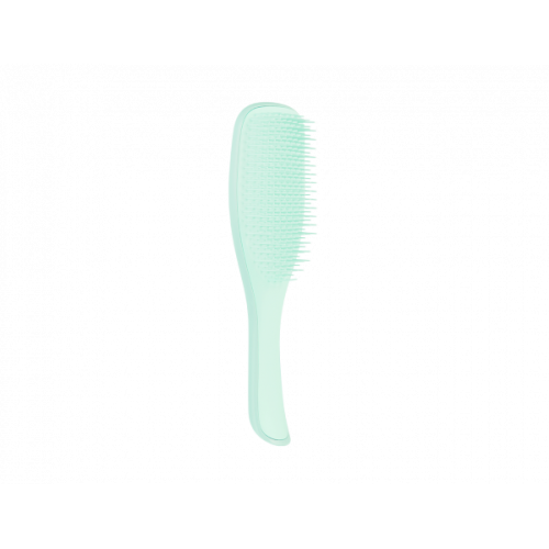 Щітка Tangle Teezer The Wet Detangler Fine & Fragile Sea Spray Green1