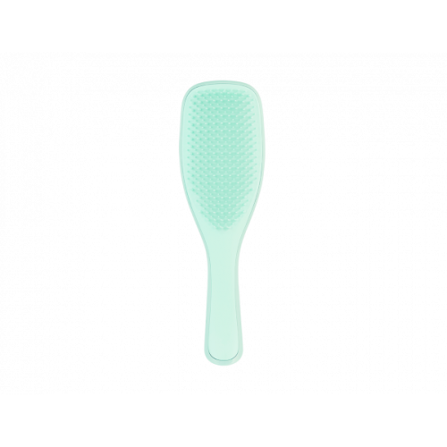 Щітка Tangle Teezer The Wet Detangler Fine & Fragile Sea Spray Green1