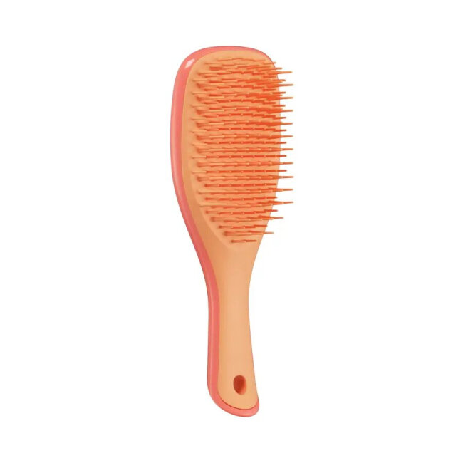 Щітка для волосся Tangle Teezer The Ultimate Detangler Mini Salmon Pink & Apricot — Фото 1